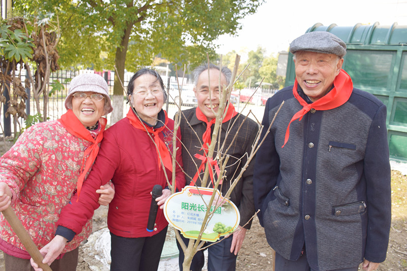 3寸雙片平底帶剎美容儀器腳輪